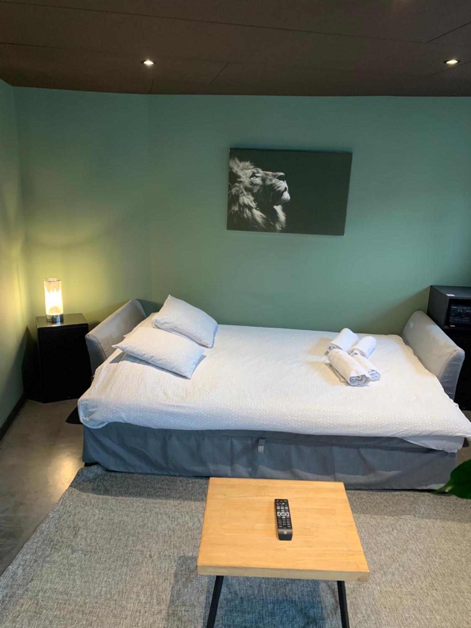 Froissart Loft Et Studio Chimay Exterior photo
