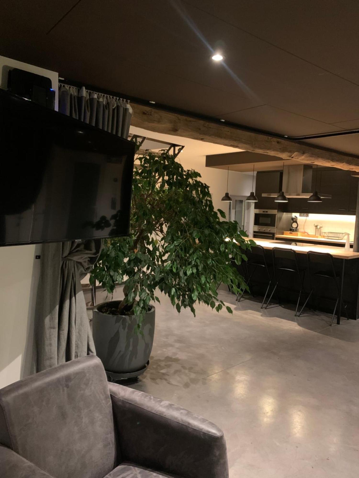 Froissart Loft Et Studio Chimay Exterior photo